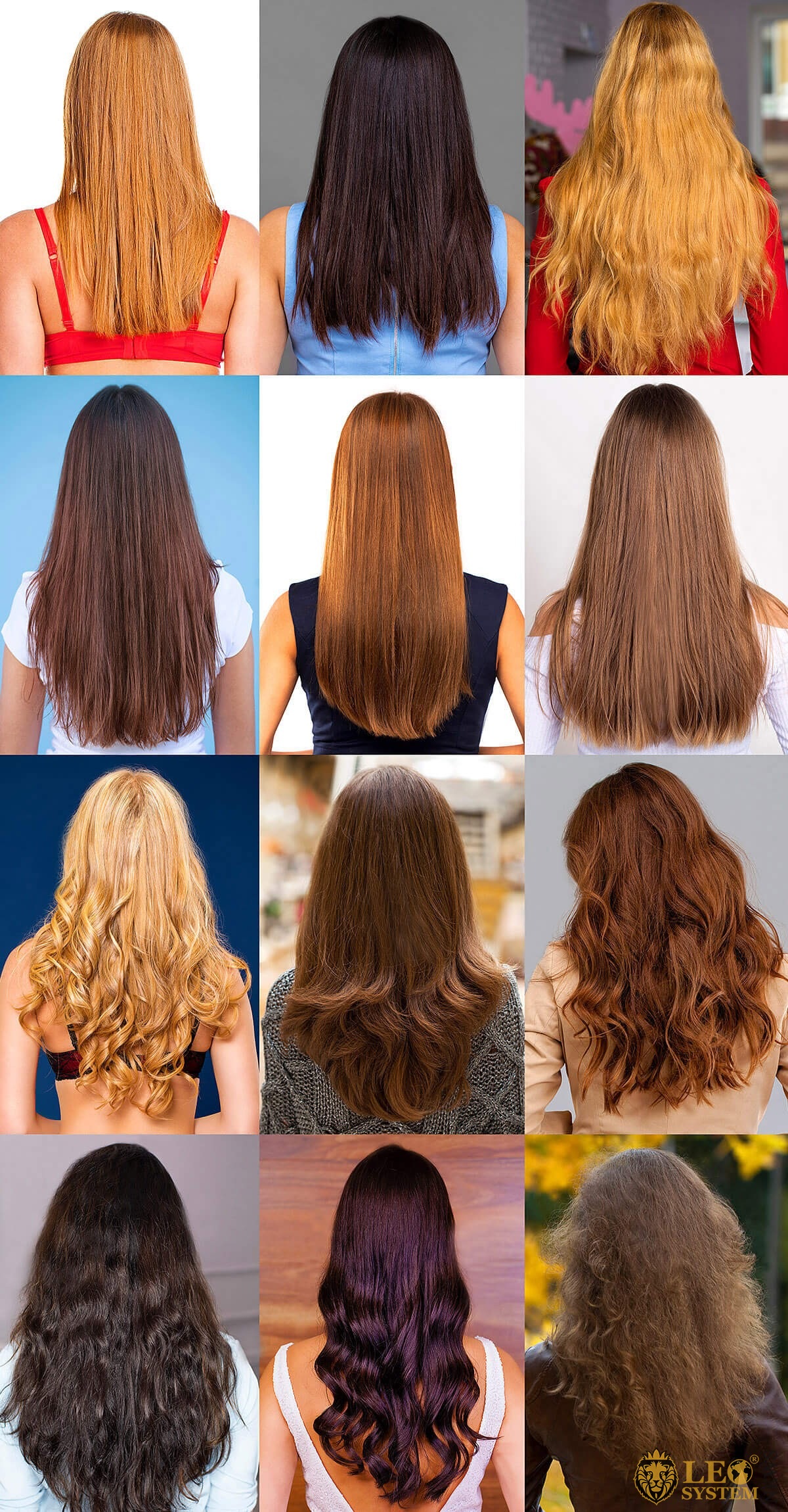 Image of a group of women with different techniques of colored hair